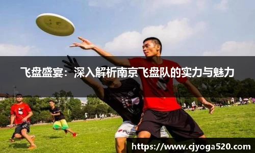 飞盘盛宴：深入解析南京飞盘队的实力与魅力